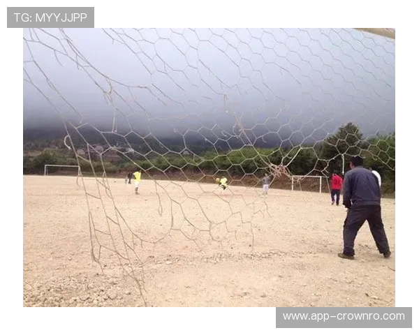 人工草场足球规则与天然草场有何不同?全面拆解关键细节