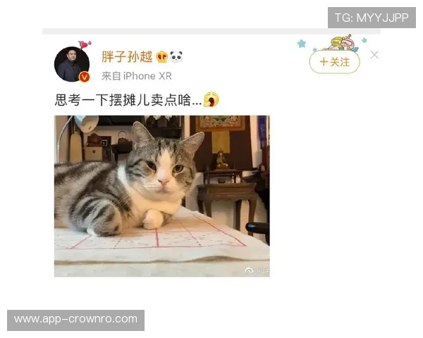 孙悦家的狗吃的比我还贵